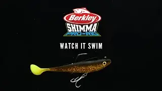 Shimma Pro-Rig | Watch It Swim
