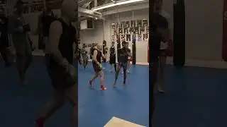 Teep Tag: The Game That Will Change Your Muay Thai Forever!