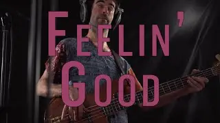 DUXEL & Dibusha Munshai - Feelin Good (Live from AB Studio)
