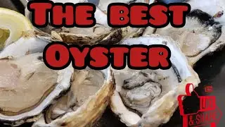 The Best Oysters i ever tasted were today at a little SeaSide Restaurant in PortVendre France!!