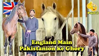 Pakistani Horse Lovers Luxury Stable in England || Part 2 || Most Beautiful Horses Farm visit in UK