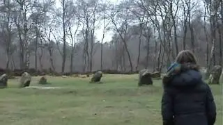 Nine Ladies Victory