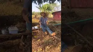 COMPREI um Sítio de 25 Hectares em Poxoréu MT (Todo o processo de como consegui adquirir)