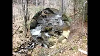 Diane C Butler   Real Estate Presents: