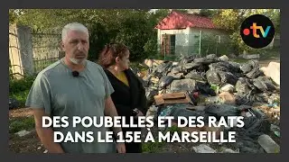 Marseille : des habitants du 15ᵉ envahis par les poubelles et les rats