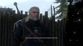 The Witcher 3: Wild Hunt: Wraith of the Arena