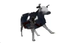 polish cow goes really with Moskau lol