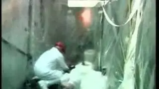 AKW W&uuml;rgassen - Asbestentsorgung