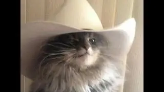 Larxyy mains Junkrat in a manic act of depression