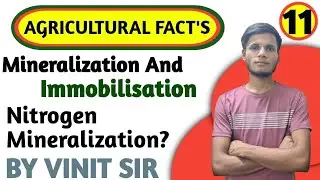 Mineralization and Immobilisation 