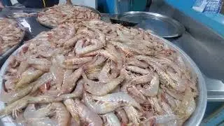 Bahrain Middle East Fish Market