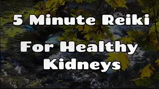Reiki Healing For Kidneys 🌊 Detox + Energy Flow + Vitality ✨5 Minute Sessoin