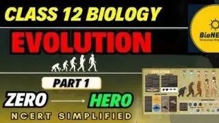 Evolution - Origin Of Life - NEET NCERT Biology ‪@bioneetirrg