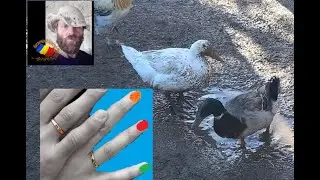 CE SE INTAMPLA DACA ITI PIERZI ,,VERIGHETA