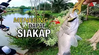 Casting Siakap Landbased | Siakap Makan Gewang, Gewang Makan Kaki
