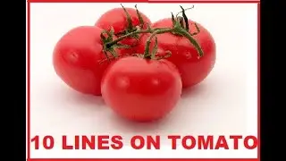 10 LINES ON TOMATO IN ENGLISH FOR KIDS| SHORT ESSAY ON TOMATO IN ENGLISH FOR CLASS 1