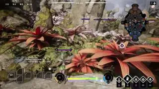 Paragon - Fey