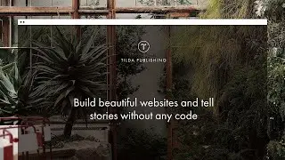 Professional Website On Tilda Publishing CMS