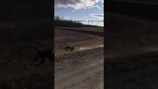 Half sends will get you nowhere - moto dirtbike fail #sendit #funny #fails #bestfails2025