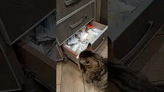 доктор Бакс