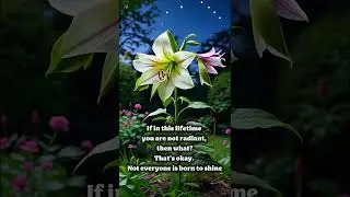 If in this lifetime you are not radiant, then what ? #itsenough#slowdown#softlife#quietmind