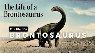 The Life of Brontosaurus 🦕 | Gentle Giant Dinosaur Story for Kids