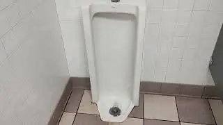 [74] Kohler Branham Urinal at Gas Station