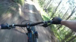 Whataupoko MTB Park, Gisborne mtb NZ North island, chilled runs