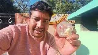 😲Coca Cola Garlic Magic? सच या झूठ! | Daily Hindi Vlog
