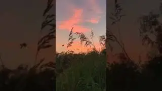 Sunset or sunrise