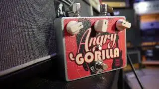 Превратите свой чистый усилитель в машину гейна! Демонстрация Angry Gorilla Distortion #педаль #педальнаяпанель #гитара