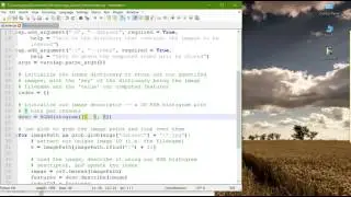 Python Image Search