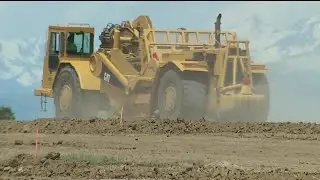 Prairie dogs causing headaches for developers in Denver area