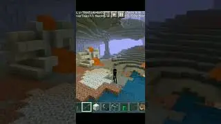 enderman 6