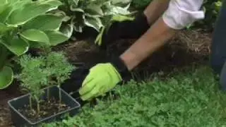 Womanswork Garden Gloves:  The best women's garden gloves & gifts for gardeners