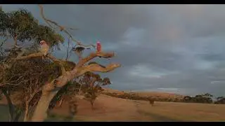 Travel Australia!