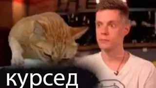 KEKB (курсед) - про бету 1.5_01, про мифофобию, про янори? | интервью