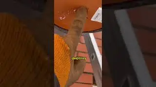 💥Вентиляция из канализационных труб #вентиляция #ремонт