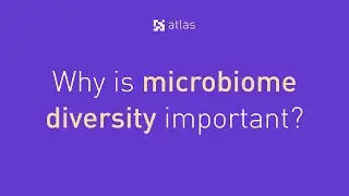 Gut Microbiome Health: Why Gut Microbiome Diversity Is So Important