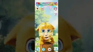 kucing lucu #talkingginger2