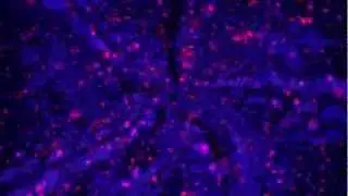 LuK5to - Strange Feeling Love