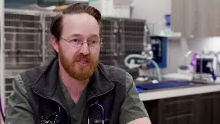 VoIP Phone Systems for Veterinarians | Ooma Office at Coyote Ridge Veterinary Clinic