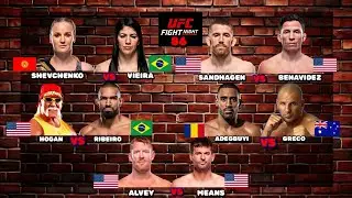 UFC FIGHT NIGHT 86: SHEVCHENKO vs VIEIRA 