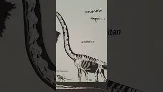 Die Entstehung der Erde 🌎 #viral #fyp #foryou kurz erkl&auml;rt 