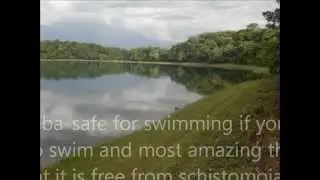 lake kisibamasoko rungwe,Tanzania1