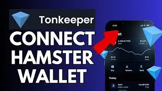 How to Connect Hamster Wallet to Tonkeeper 2024?