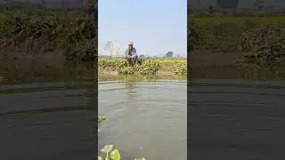 He is the best fisherman in the world. #vrial #fishing #handfish #fishingtips #fish