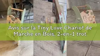 Avis sur la Tiny Love Chariot de Marche en Bois, 2-en-1 trotteur d'activit&eacute;s pour b&eacute;b&eacute;, 12 activit&eacute;s