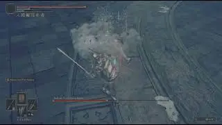 L.Greatswords 12 int (Rellana) no hit