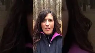 The Forest Breakthrough (and more)
